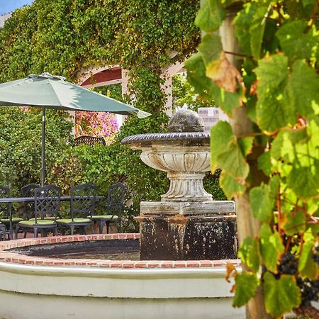 Deux Freres Wine Estate & Luxury Villas 斯泰伦博斯 外观 照片
